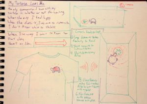 My Tortoise Loves Me