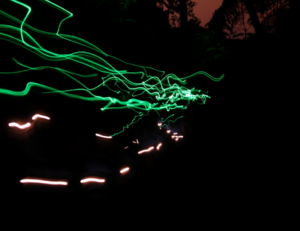 Living Lightning Firefly Project